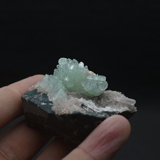 Pointed green Apophyllite on matrix  #4603 picture