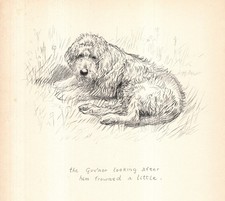 Vintage Kathleen Barker Otterhound Print Wall Art Decor 1938 Illustration 6715n picture