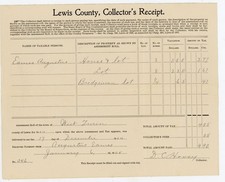 1905 Antique Tax Receipt Lewis County NY West Turin Augustus Eames 1904 Assessme picture