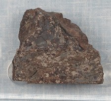 Odessa iron meteorite, 88 gram cut end piece picture