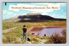 Tucumcari NM-New Mexico, Tucumcari Mountain, Scenic, Vintage Postcard picture