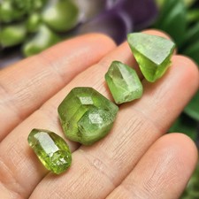 Terminated Peridot Crystal picture