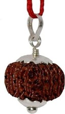 100% Original Nepali Rudraksha Bead, 13 Mukhi, 21mm picture