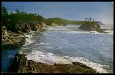 Vintage Oregon Coast Highway Scenic View Color Card Postcard C2207 picture