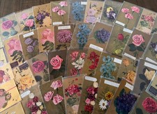 Huge~Lot of 50~Gold Back Roses & Flowers~Vintage~Floral Greetings~Postcards~s912 picture