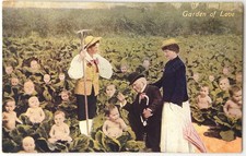 Vintage Humor Couple Baby Cabbage Patch Garden of Love Postcard 1911 picture
