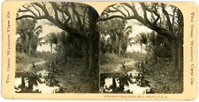 Stereo, USA, Florida, a romantic spot, Indian river vintage stereo card - T picture