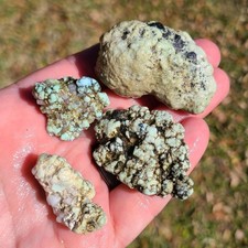 NATURAL LOST CANYON VARISCITE ROUGH NEVADA 71.3 GRAMS picture