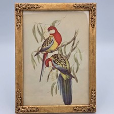 Antique Ornate Wood Picture Frame Bird Illustration Art Print Floral Detailing 6 picture