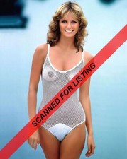  CHERYL TIEGS wearing sheer swimsuit 8x10 PHOTO #8089 picture