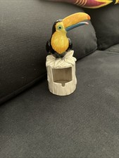 Toucan picture