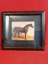 Vintage Framed Bay Horse Print Equestrian Wall Art 20.5x18.5” Rustic Decor picture