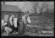 Photo:Farm Worker with Draft Horses 1930s Rural Scene picture