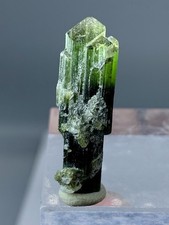 Natural Tri Colour Tourmaline Scepter Shape Crystal From Staknala Pakistan 22+CT picture
