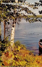 Greetings From Portage Wisconsin WI Solace Summer Postcard WOB Cancel PM Wautoma picture