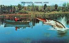 Exaggerated Fish Fisherman Wonderful Fishing Here VTG Comic Postcard Unposted picture