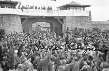 Joshua Kaufman auto 4x6 photo WW II Dachau Concentration Camp RARE COA LOOK picture