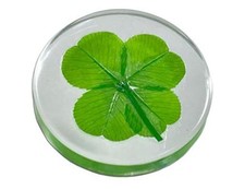 Four Leaf Clover Good Luck Pocket Token - Preserved - Flowers picture