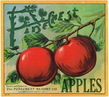 ORIGINAL APPLE CRATE LABEL C1920 RARE SAN BERNARDINO PINECREST RESORT TEARS picture