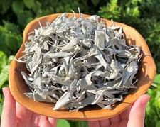 1 lb Loose White Sage Smudge LEAVES ONLY (Bulk Wholesale Lot) picture