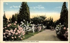 Arnold Arboretum Franklin Park Boston MA Flowers Car vintage postcard v394 picture