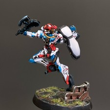 Pro Painted HG 1/144 GQuuuuuuX Gundam Complete Finished Model With Grass Ruin picture