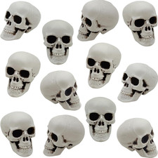 12 Pcs Mini Skull Heads 2.4 Inch Skeleton Skulls for Decorations picture