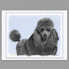 6 Poodle Miniature Toy Black Dog Blank Art Note Greeting Cards picture
