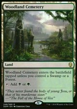 Woodland Cemetery ~ Dominaria [ EX ] [ Magic MTG ] picture