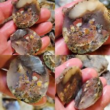 AA+ Bouquet PLUME Agate Banded San Carlos Chihuahua Laguna Mexico 53g picture