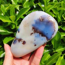 TOP 345G Natural Polished Aquatic Plants Agate Crystal Madagascar Z01 picture