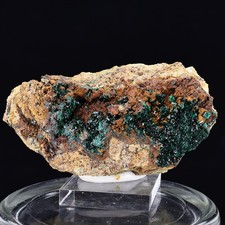 Brochantite Crystals | Douglas Hill Mine, Yerington, Nevada - Gemmy Green Prisms picture