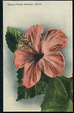 Red Hibiscus Flower Hawaiian Islands Hawaii Vintage Island Curio Postcard picture