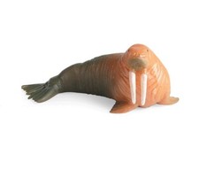 14cm Walrus Animal Toy PVC Action Figure Kids Toys Party Childern Gifts picture