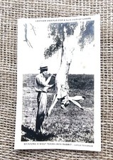 Vintage 1946 Texas Jack Rabbit Postcard RPPC Real Photo Postmark Amarillo picture