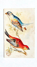 1898 (J2) #58 Indigo Bunting, Arm & Hammer New Series Beautiful Birds, 2nd picture
