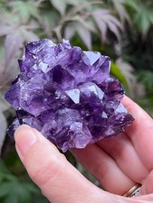Amethyst Rosette Stalactite Cluster Uruguayan 242g 4 AAA+ Deep Purple picture