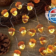 3D Twinkle Acorn Fall Harvest String Lights 10ft 30 LED USB Remote Thanksgiving picture