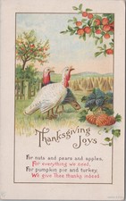 Antique Embossed Thanksgiving Postcard- Divided Back Era- 2 Turkeys in Field picture