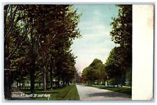 1908 Scenic View South St & Park Road Trees Olean New York NY Antique Postcard picture