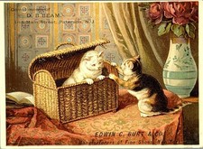 Victorian Trade Card Kittens in Wicker Basket D. B. Beam Shoes NY Paterson NJ picture