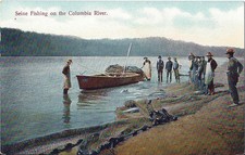 Postcard OR Oregon Washington State Seine Fishing on Columbia River ca 1907-14  picture