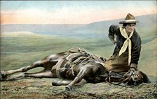 Cowgirl over fallen horse Pulling Gun Tuck GREAT IMAGE c1910 Postcard bhn picture