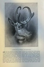 1884 Antelope Hunting in Montana picture