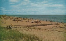 Vintage Harding's Beach West Chatham Cape Cod Mass Chrome Postcard picture