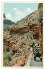  Postcard Along The Cliffs On Hermit Trail, Grand Canyon, Arizona  picture