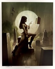 Vampirella: Spellcaster - 12x15 LE Art Print Signed by Mike Hoffman w/COA picture