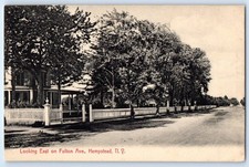 c1905 View Of Main Street Hempstead Long Island New York NY House Trees Postcard picture