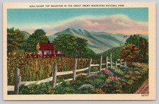 Sharp Top Mountain Great Smoky Mountains National Park Linen Postcard picture
