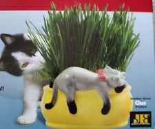 Chia Pet Cat Grass Treat Decorative Planter Featuring Snoozing Kitty/ SEALED picture